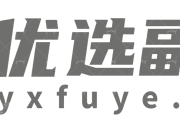 优选副业网-专注互联网副业创业经验分享！