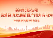 中华人民共和国国家发展和改革委员会