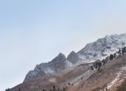 独角兽资源站-优质it分享平台-资源每日更新